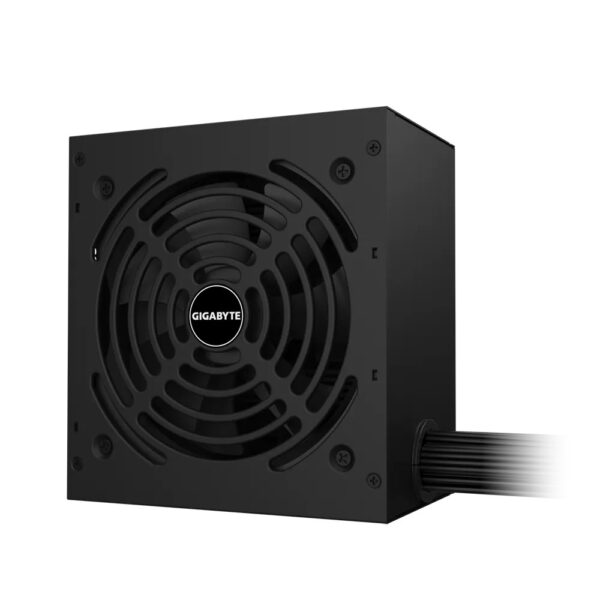 Gigabyte P650G 80+ Gold, Flat Black Cables Power Supply 5 Years Warranty
