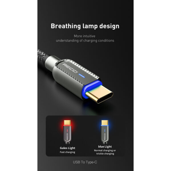Recci 02C / 02CL / 02L / 02M Smart Power-Off Type-C / L*ng / Micro USB Fast Charging Cable with LED 1m