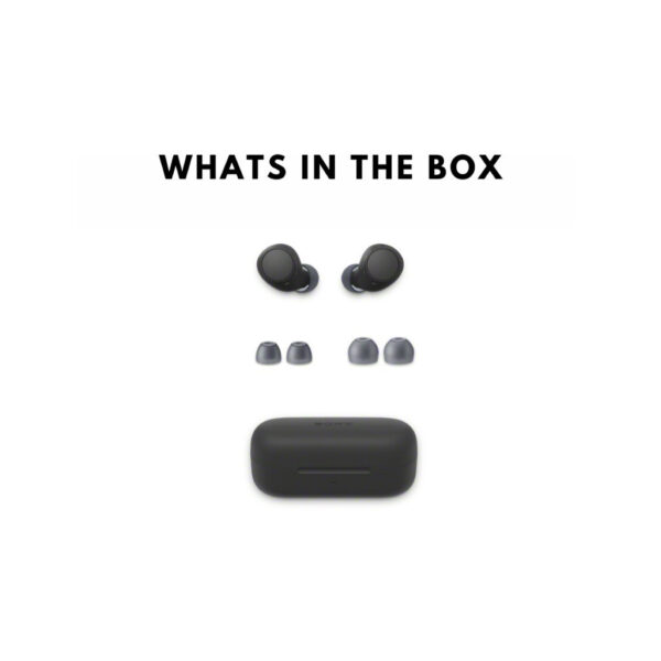 Sony WF-C510 True Wireless Headphone