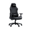 ANDA SEAT LUNA Premium Gaming Chair (L Size)