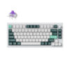 Keychron Q1 HE ANSI 75% layout 82 Key Full Assembled Knob Purple RGB Hot-Swap BT/2.4GHz/Wired Hall effect keyboard