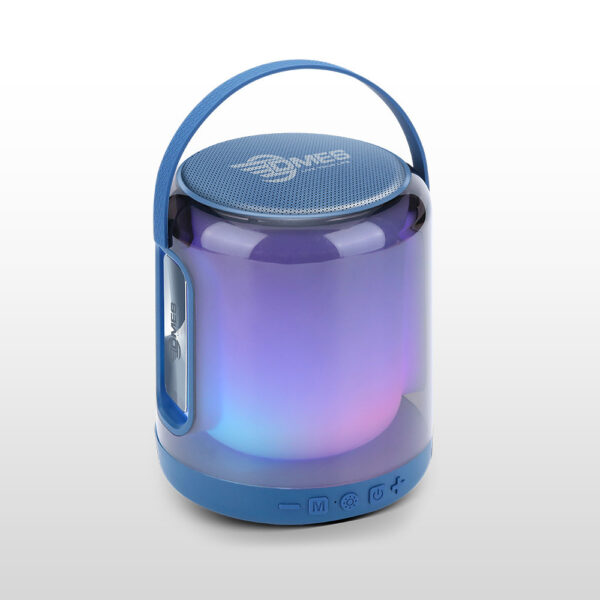 Dmes DS9 Portable Bluetooth Speaker TWS Wireless Speaker | 9D Surround Sound | 3h Battery Life