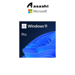 Microsoft Windows 11 PRO (ESD) (FQC-10572)