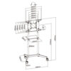 Brateck TTV11-46TW Rotating Mobile Stand for Interactive Display For 37"-70" Displays, including Samsung Flip, Surface Hub 2S.