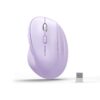 4948be0ddd015eb6a380b8934b4163a2.jpeg Micropack Ergo Lite 2 RF2.4G Wireless Mouse MP-V01W