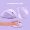 b4f9488f15a06809f22c6c6b08ad506a.jpeg Micropack Ergo Lite 2 RF2.4G Wireless Mouse MP-V01W